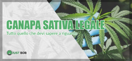 Tutto quello che devi sapere sulla canapa sativa legale