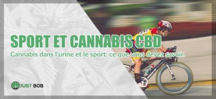 CANNABIS DANS L’URINE ET LE SPORT: CE QUE VOUS DEVEZ SAVOIR