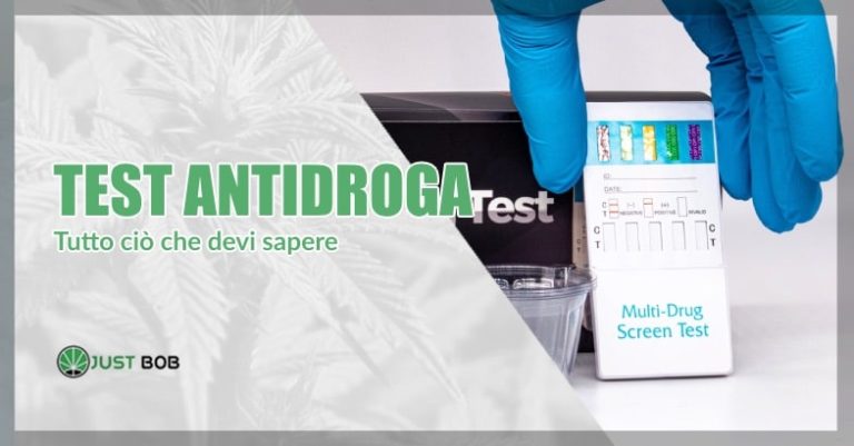 Informazioni Importanti Sui Test Antidroga | Justbob