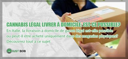 Cannabis légal livrer à domicile: est-ce possible?