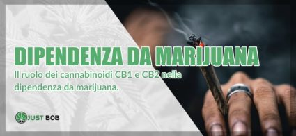 Dipendenza da marijuana: cannabinoidi