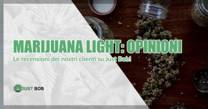 CBD and marijualana legale di Justbob