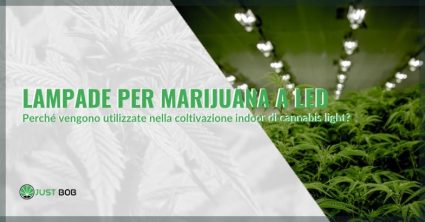 Lampade a LED per la marijuana