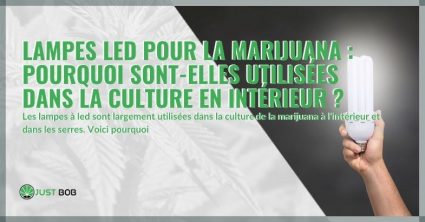 Lampes LED pour la marijuan