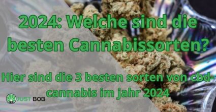 2024: Welche sind die besten Cannabissorten?