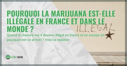 Pourquoi la marijuana est-elle illégale en Suisse et dans le monde?