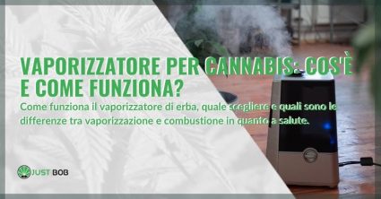 Vaporizzatore per cannabis: cos’è