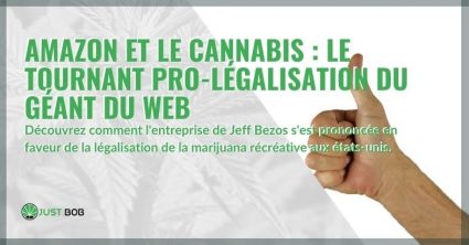 Amazon et Cannabis: le tournant pro-légalisation