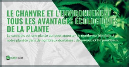 Le chanvre et l’environnement : tous les avantages