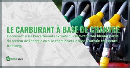 Le carburant à base de chanvre