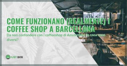 Come funzionano i coffee shop a Barcellona