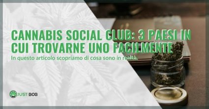 Cannabis social club: 3 paesi