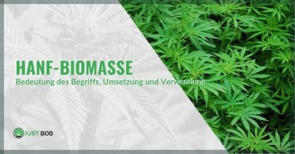 Hanf-Biomasse: Bedeutung des Begriffs und Verwendung