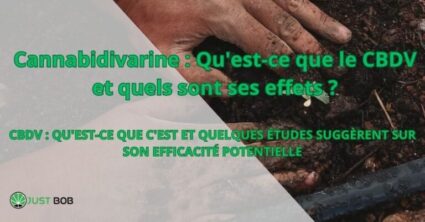 Cannabidivarina : qu'est-ce que le CBDV et quels sont ses effets ?