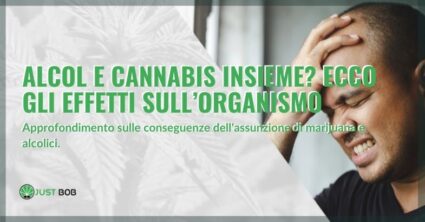 Alcol e cannabis insieme? Ecco gli effetti sull’organismo