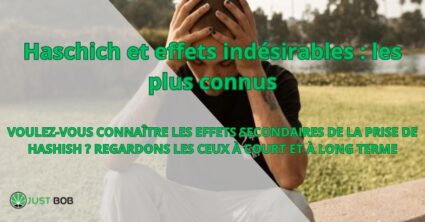 Haschich et effets indésirables : les plus connus