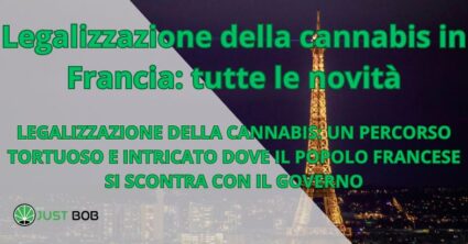 Legalizzazione della cannabis in Francia: tutte le novità