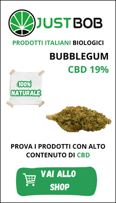 Banner-CBD-Bubblegum-con-19%-CBD