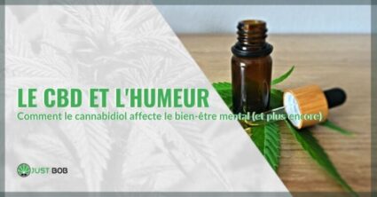 CBD et l'humeur : comment le cannabidiol affecte le cerveau