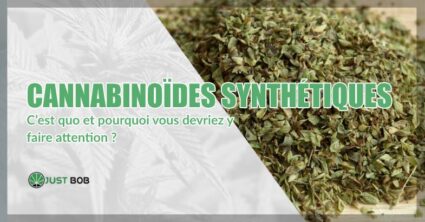 Cannabinoïdes synthétiques: c’est quoi