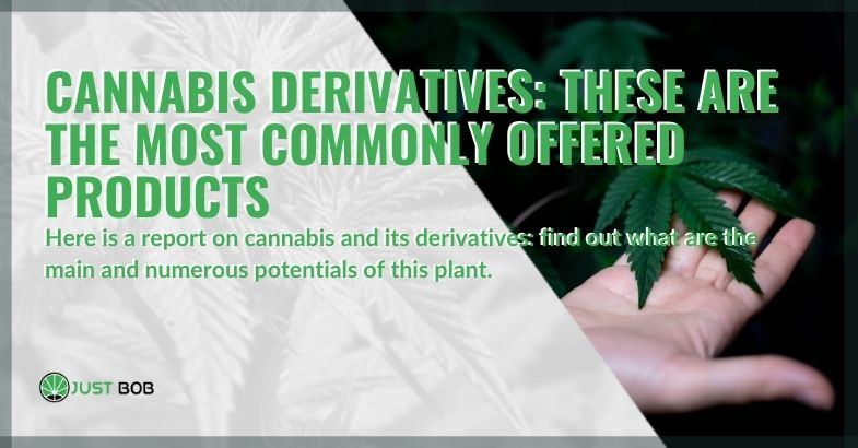 Cannabis derivatives: the most commonly offered products