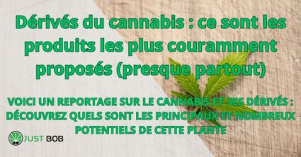 Dérivés du cannabis : ce sont les produits les plus couramment proposés