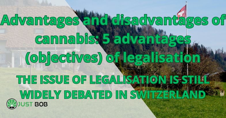 Advantages and disadvantages of cannabis