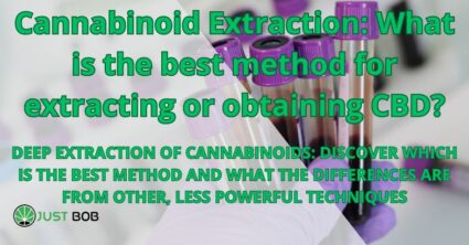Cannabinoid Extraction: the best method for extracting CBD
