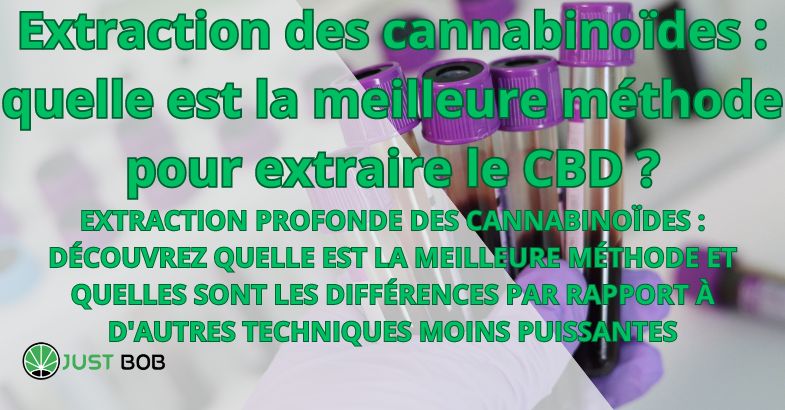 Extraction des cannabinoïdes