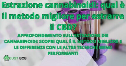 Estrazione cannabinoidi: qual è il metodo migliore