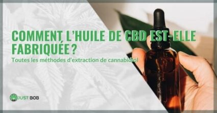 Comment l’huile de CBD est-elle fabriquée ?