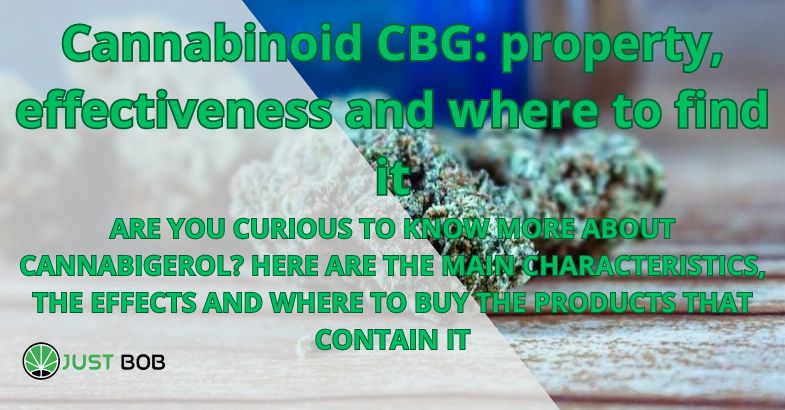 Cannabinoid CBG: property, effectiveness