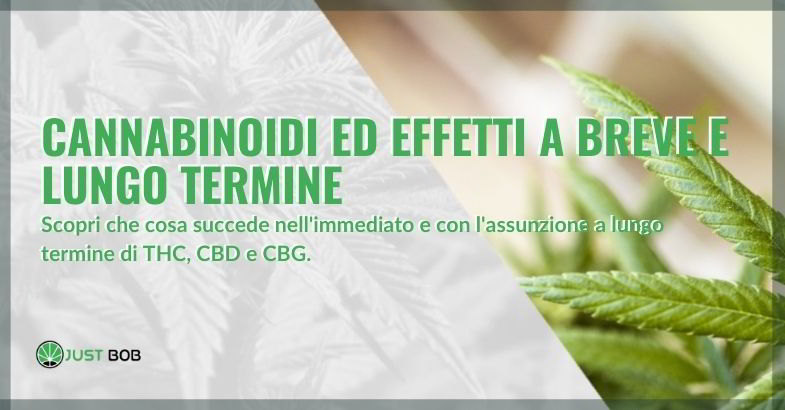 Cannabinoidi: effetti a breve e lungo termine