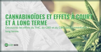 Les effets des cannabinoïdes y compris le CBD