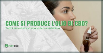 Come si produce l’olio di CBD?