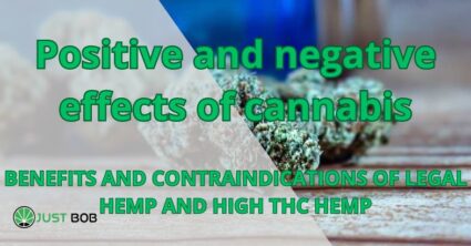 Positive and negative effects of cannabis