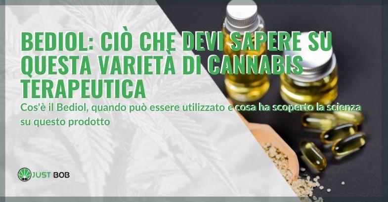 Bediol: ciò che devi sapere