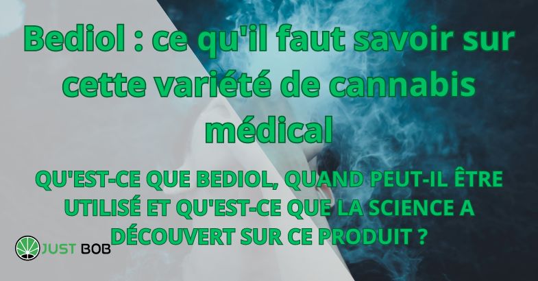 Bediol : ce qu'il faut savoir sur cette variété de cannabis médical