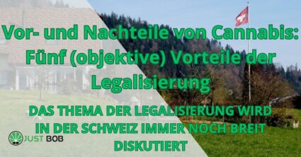 Vor- und Nachteile von Cannabis