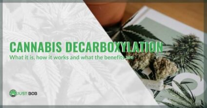 Cannabis decarboxylation