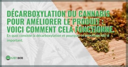 Décarboxylation du cannabis pour améliorer le produit