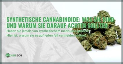 Synthetische Cannabinoide: Was sie sind und warum Sie darauf achten sollten