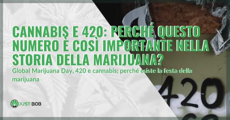 Cannabis e 420