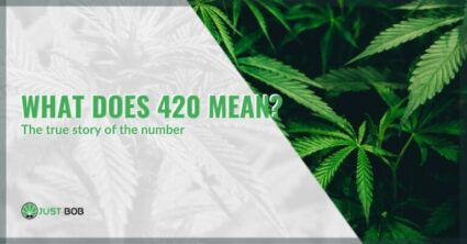 What does 420 mean?