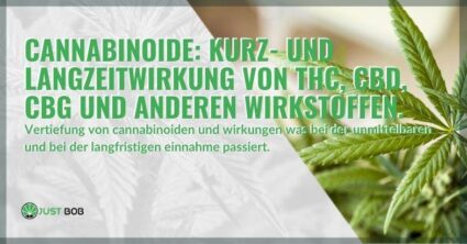 Cannabinoide: Kurz