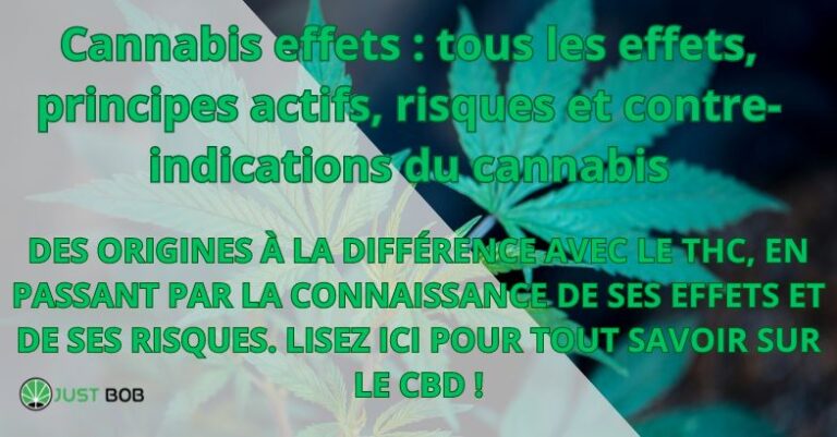 Cannabis effets : tous les effets