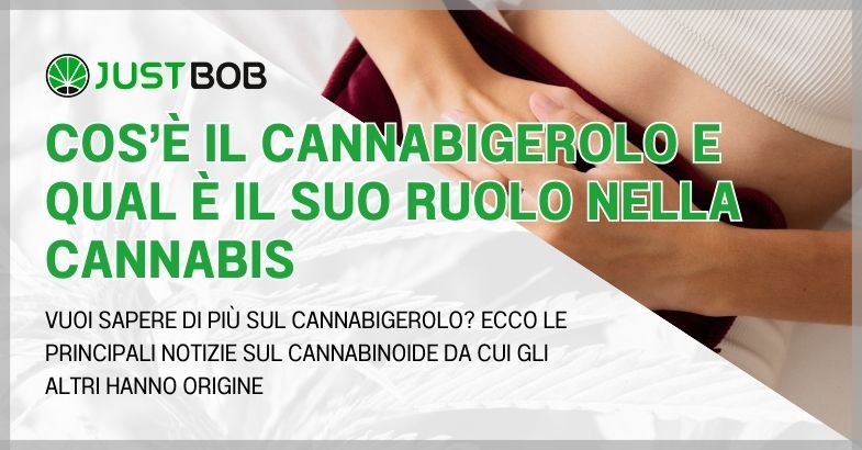 Cos’è il cannabigerolo e qual è il suo ruolo nella cannabis