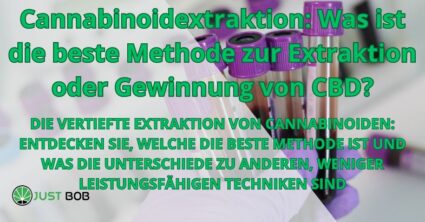 Cannabinoidextraktion: die beste Methode