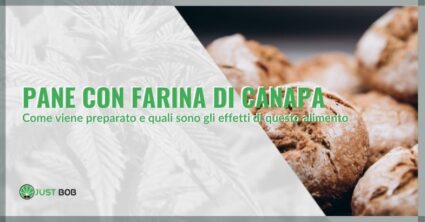 Pane con farina di canapa: come viene preparato