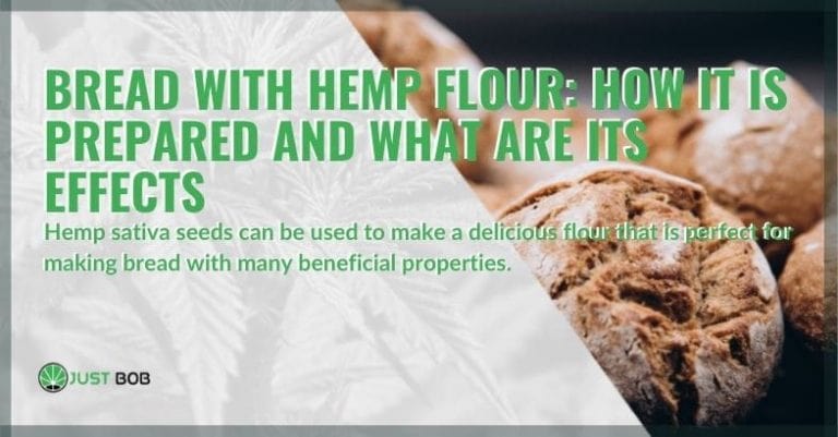 Hemp flour bread: how it is prepared